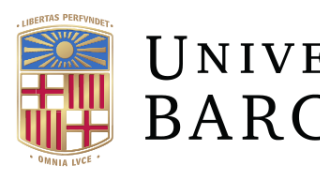 logo_ub