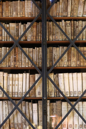 Prestatgeries de la sala de consulta principal de la Biblioteca de Lletres de la Universitat de Barcelona dissenyades per Elies Rogent al segle XIX (foto: Agustí Ensesa) Prestatgeries de la sala de consulta principal de la Biblioteca de Lletres de la Universitat de Barcelona dissenyades per Elies Rogent al segle XIX (foto: Agustí Ensesa)