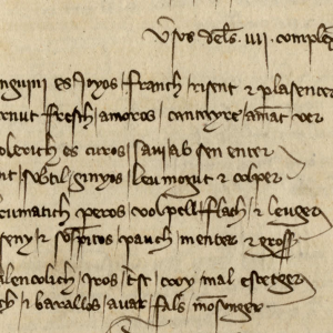 13. Divulgació de la doctrina hipocraticogalènica en vers: "Versos de les .IIII. complexions" (Madrid, Biblioteca Nacional de España, ms. 18060, f. 144r, finals del s. XIV)