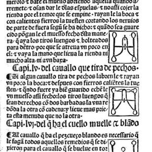 19. Frens per corregir els vicis dels cavalls, a la primera edició de la traducció castellana del 'Llibre de la menescalia' de Manuel Díez (Valladolid, Juan de Burgos, 1500, f. 29r).