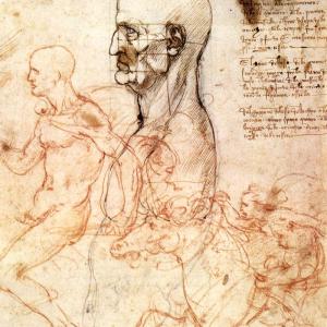 15. Estudis de fisiognomonia humana de Leonardo da Vinci (Venècia, Gallerie dell'Accademia).