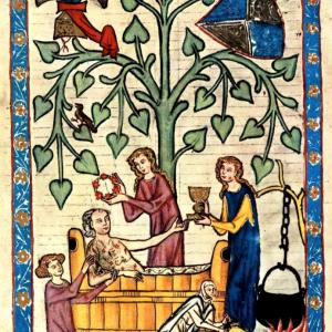 17. El bany forma part de la segona de les 'coses no naturals'. Bany de l'hoste, al 'Gran cançoner de Heidelberg' o 'Codex Manesse' (Universitat de Heidelberg, Cod. Pal. germ. 848, f. 46v, Zuric, vers 1305-1340).