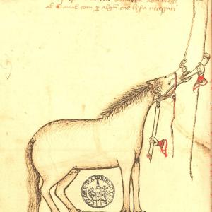 6. Way of administering beverages to the horse. Manuel Díez, 'Llibre de la menescalia'. Seville, Biblioteca Colombina, MS 5-4-46, f. 7v (mid 15th C).
