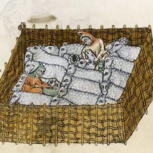 14. A shepherd administering a medicine to a sheep. 'Luttrell Psalter'. London, British Library, MS Add. 42130 (c. 1335-1340).