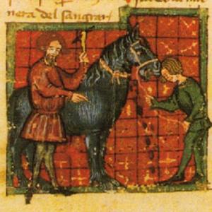 7. Bleeding a horse. Juan Álvarez de Salamiellas, 'Libro de menescalcía et de albeytería et de física de las bestias'. Paris. Bibliothèque nationale de France, MS Esp. 214, f. 28v (c. 1390).